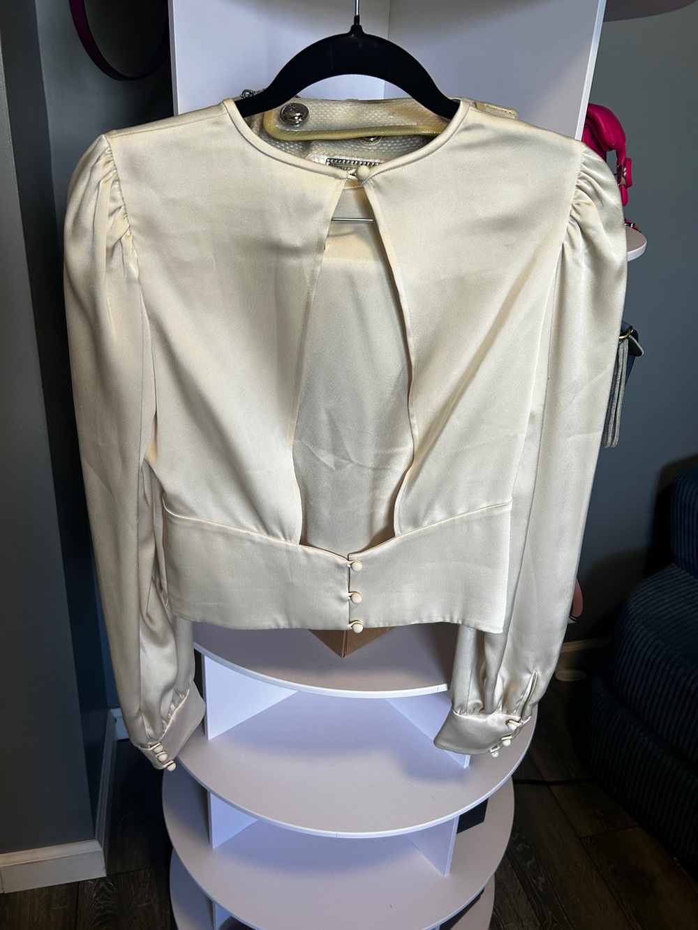 Aritzia Satin button Open Back Top